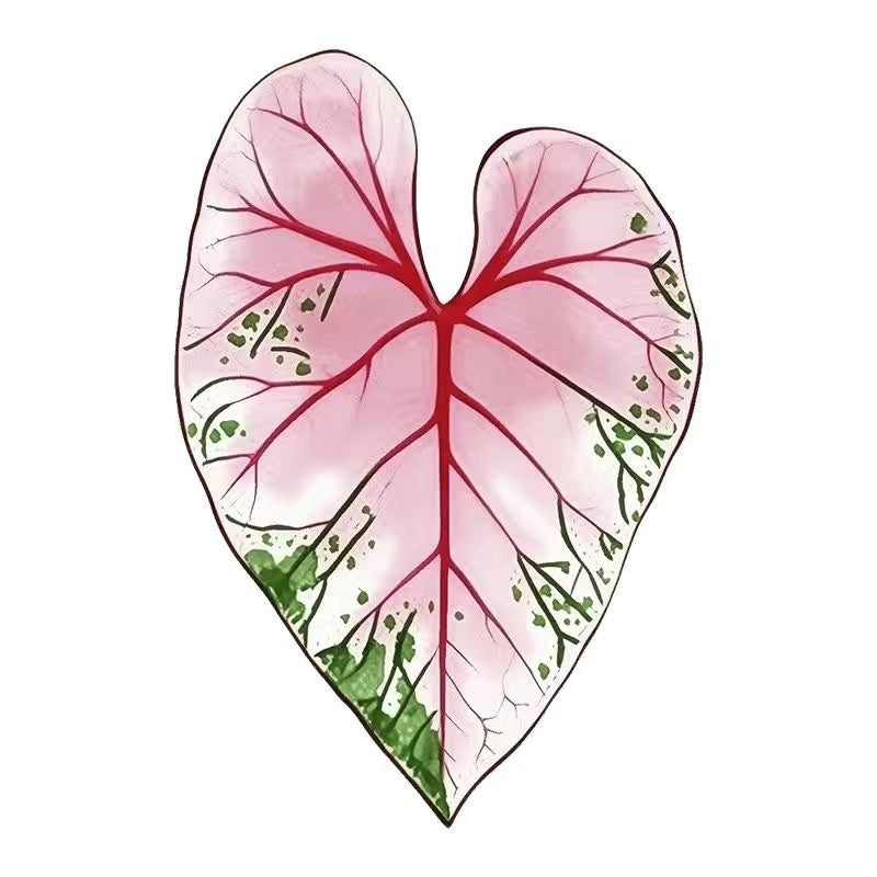 Tropical Plant Acrylic Coasters Set Solid Color Heat Resistant Easy Clean Table Coasters