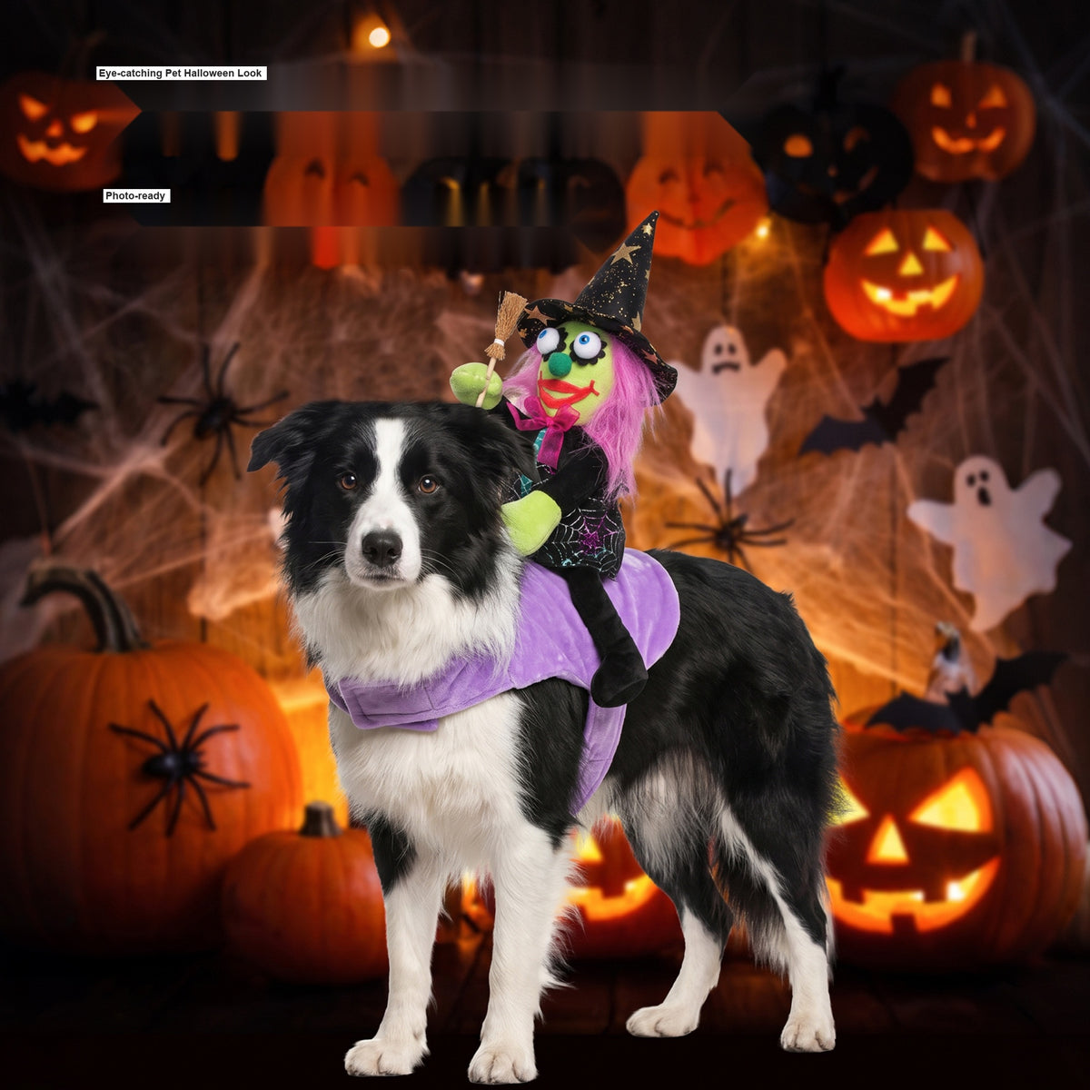 Halloween Pet Wizard Riding Costume, 3D Witch Doll Funny Ride-On Outfit