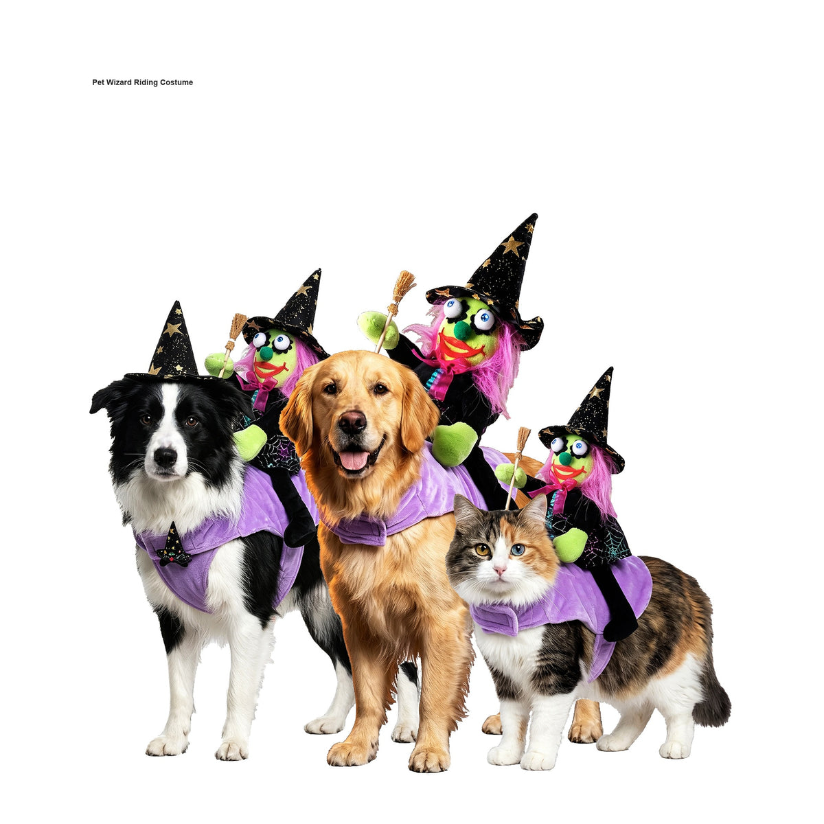Halloween Purple Wizard Riding Costume for Dogs and Cats, Pet Party Outfit