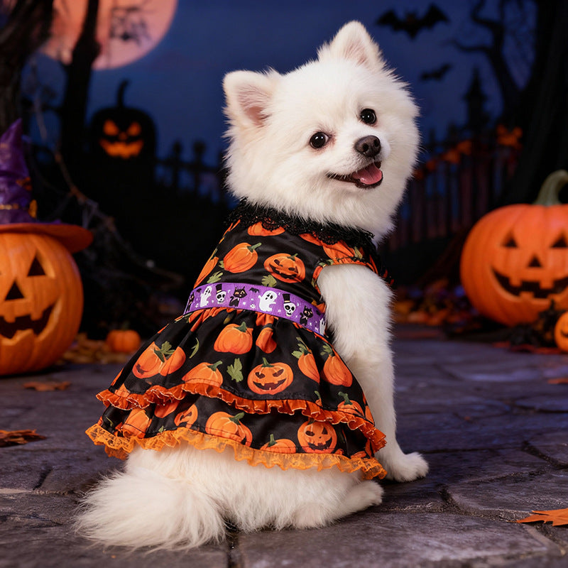 Halloween Pumpkin Lace Dress for Small and Medium Dogs, Pet Costume