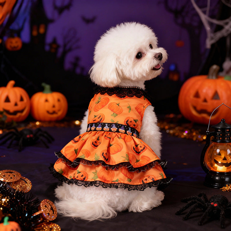 Halloween Pumpkin Lace Dress for Small and Medium Dogs, Pet Costume