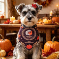 Cartoon Pet Bandana Scarf for Dogs and Cats, Adjustable Tie Triangle Bib for Christmas Thanksgiving