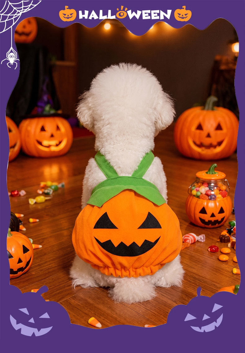 Pumpkin Pet Dress Costume, Funny Halloween Outfit for Teddy Bichon Small Dogs and Cats