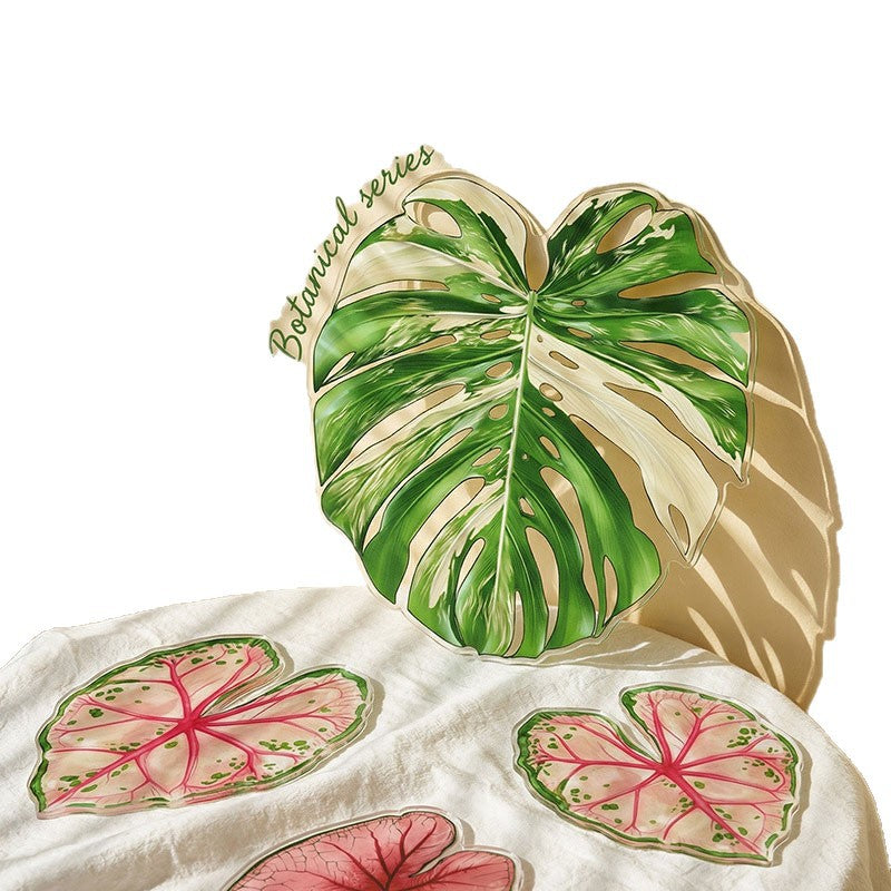 Tropical Plant Acrylic Coasters Set Solid Color Heat Resistant Easy Clean Table Coasters
