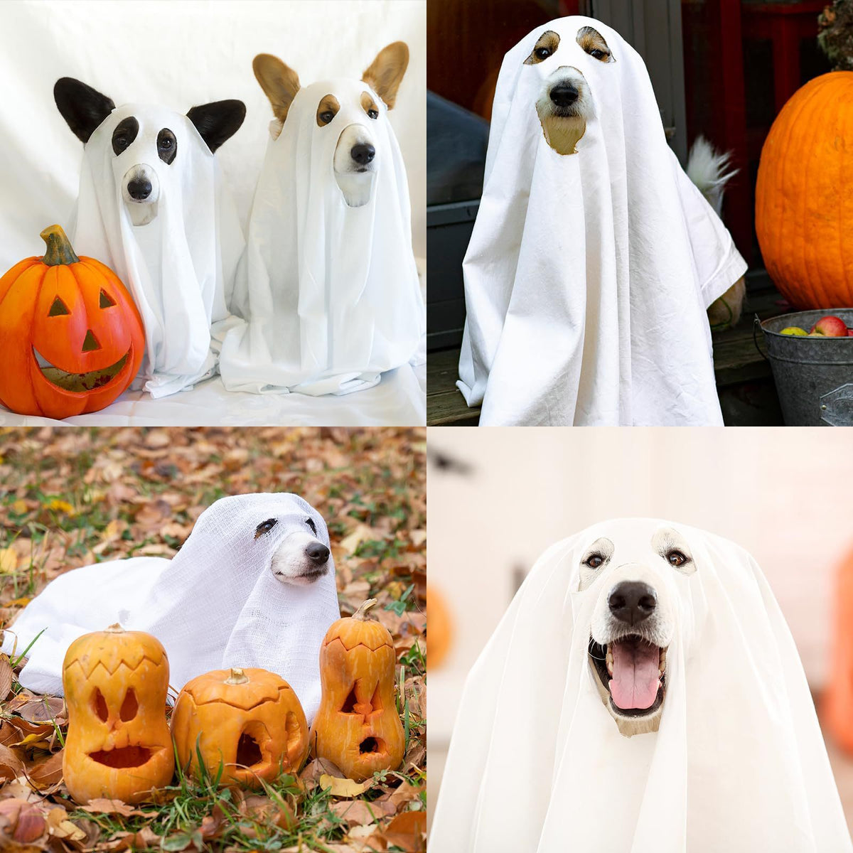 Halloween Ghost Dog Costume Cape, Pet Cosplay Cloak For Small Dogs Cats Halloween Party Outfit