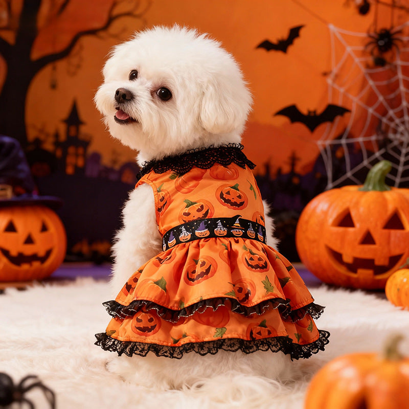 Halloween Pumpkin Lace Dress for Small and Medium Dogs, Pet Costume