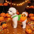 Pumpkin Pet Dress Costume, Funny Halloween Outfit for Teddy Bichon Small Dogs and Cats