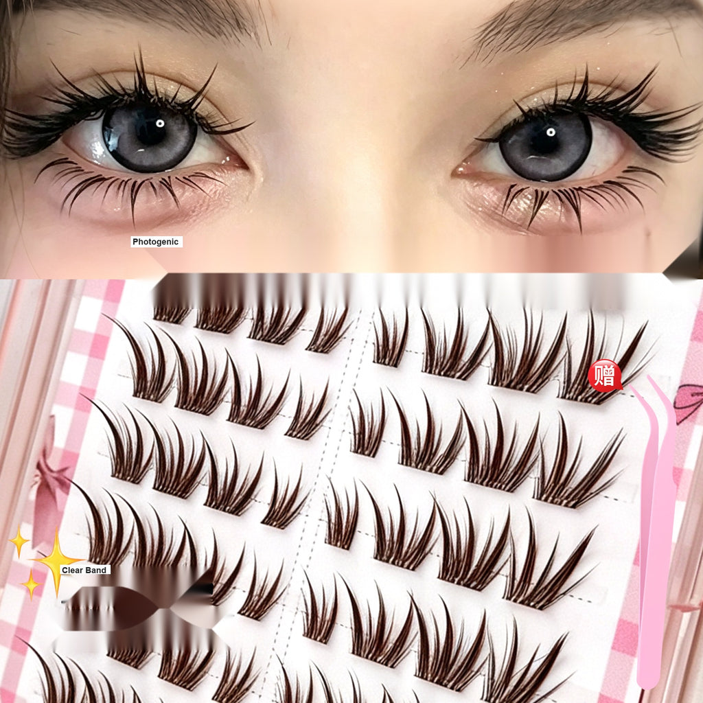 Fox Eye Segment False Lashes Glue Free Dark Brown Flirty Wispy Eyelashes for Beginners