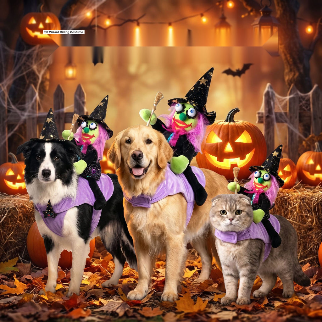 Halloween Pet Wizard Riding Costume, 3D Witch Doll Funny Ride-On Outfit
