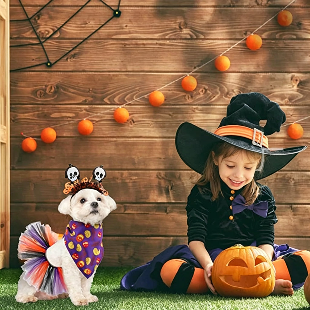 Pet Halloween Tulle Skirt and Bandana Set, Pumpkin Skull Headband Costume for Dogs